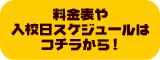 \Zޭقͺ